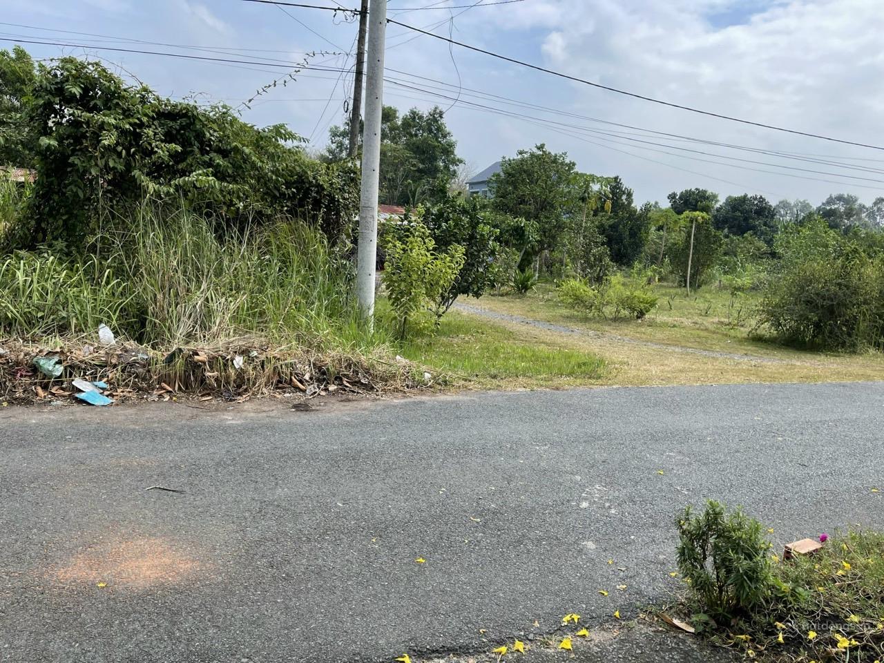 Bán đất tặng nhà cấp 4 đối diện UBND Xã Phạm Văn Cội Huyện Củ Chi, gần khu hành chính, tiện ích