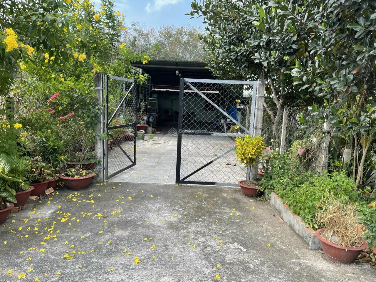 Bán đất tặng nhà cấp 4 đối diện UBND Xã Phạm Văn Cội Huyện Củ Chi, gần khu hành chính, tiện ích