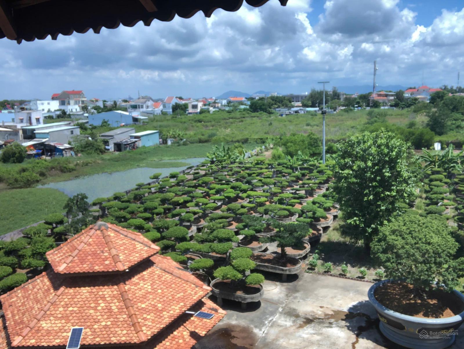 Cần bán khu nghỉ dưỡng cao cấp tại thị trấn Cần Thạnh Cần Giờ rất đẹp, có nhà gỗ cao cấp, cây cảnh