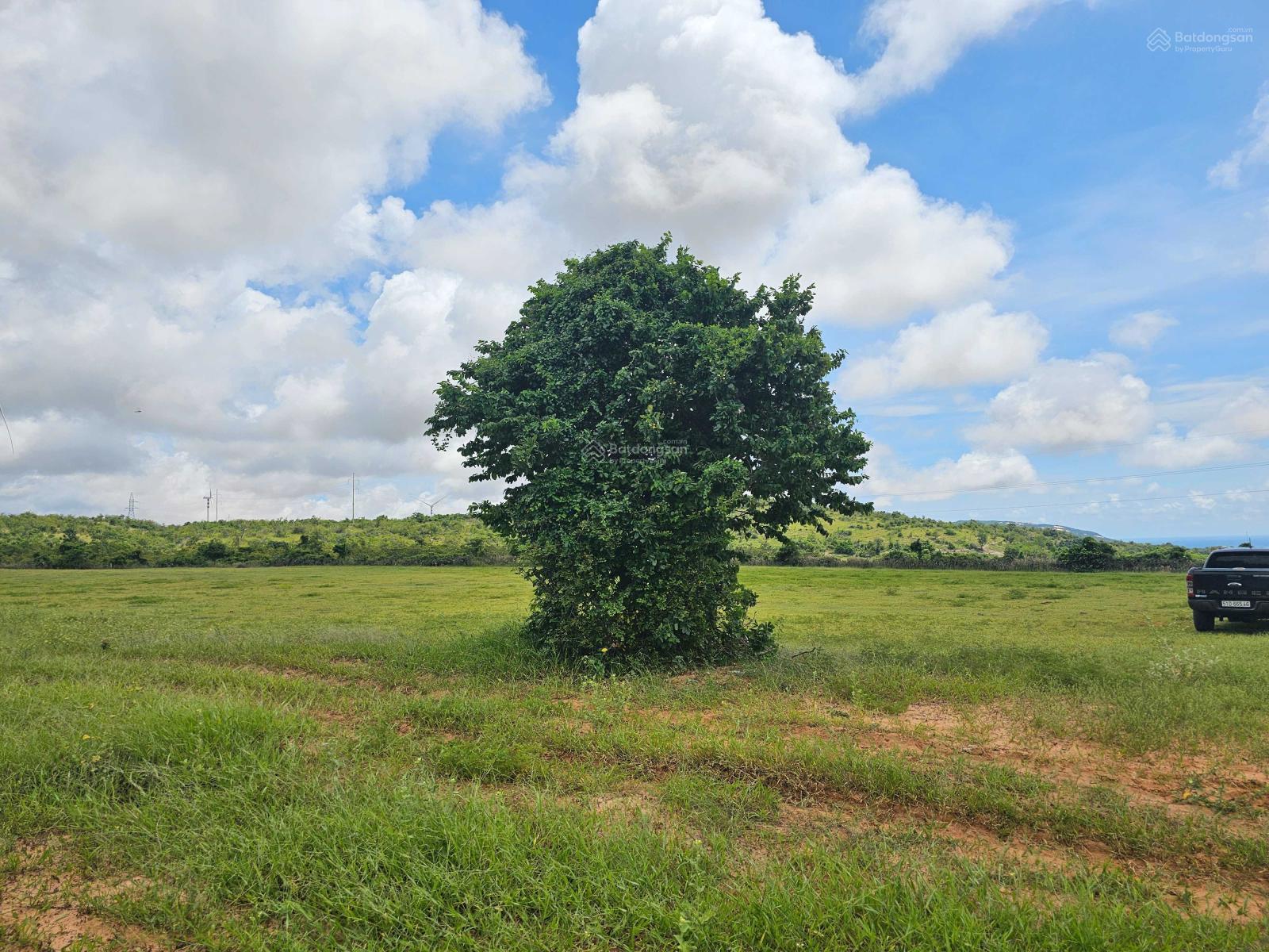 Long Hoàng Investment cập nhật giỏ hàng đất vườn ven biển Bắc Bình - Bình Thuận T01 dưới 500 triệu Long Hoàng Investment cập nhật giỏ hàng đất vườn ven biển Bắc Bình - Bình Thuận T01 dưới 500 triệu