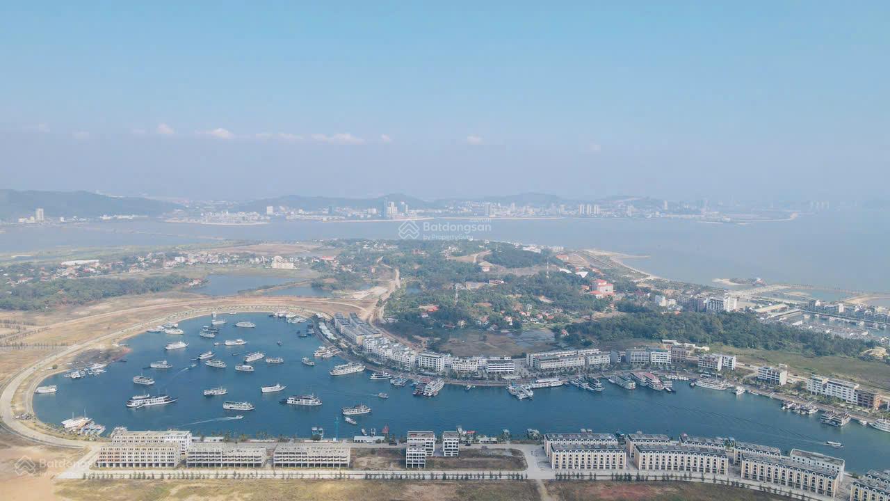 Cần bán lô biệt thự Tuần Châu, Hạ Long vị trí trục đường chính giá cắt lỗ chỉ 1xtr/m2