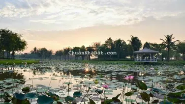 Giỏ hàng hơn 50 căn nhà phố Park Riverside giá tốt nhất thị trường, đã có sổ giá 9 tỷ