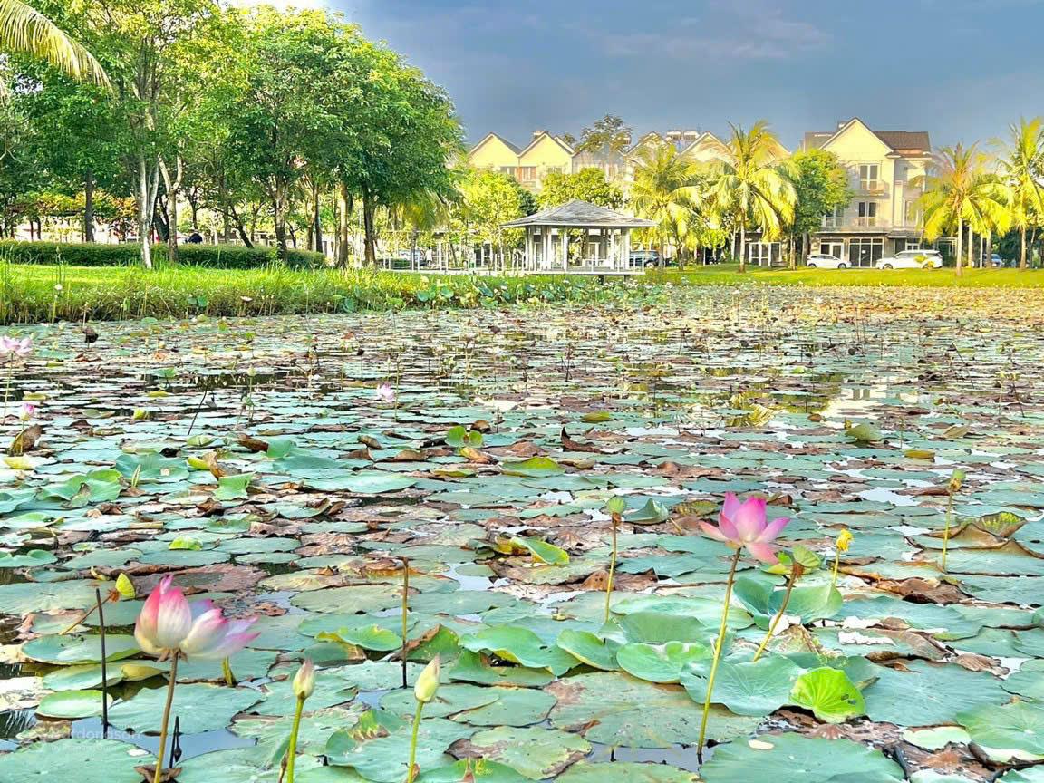 Giỏ hàng hơn 50 căn nhà phố Park Riverside giá tốt nhất thị trường, đã có sổ giá 9 tỷ