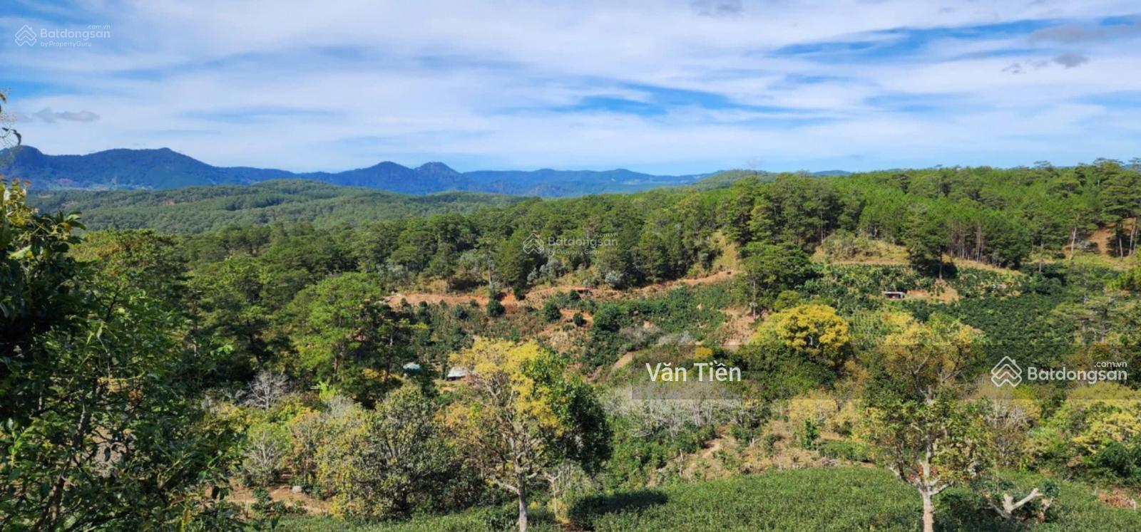 Bán 20.000 m2 (2 hecta) đất Xuân Sơn, Xuân Trường, TP Đà Lạt. Sổ hồng, view đẹp, cách ủy ban xã 3km