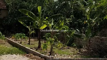 Đất thổ cư Đồng Tâm, TP Vĩnh Yên, 90m2, MT 4.5m, 1.9tỷ Vĩnh Phúc. LH 0886 743 ***