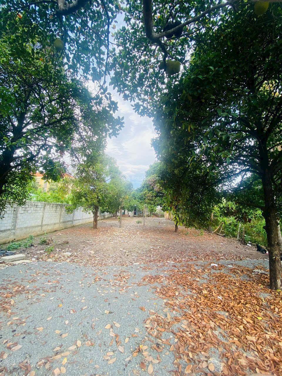 Đất Bình Nhâm 16,5*46 kế Đường CMT8 LH 0909 036 ***