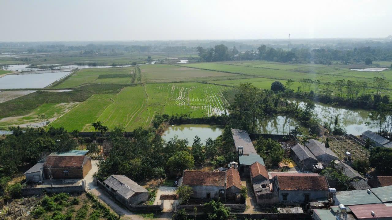 6.5 tỷ 2500m2 300m2 thổ cư sẵn nhà cấp 4 vườn cây ao cá tại Chương Mỹ, Hà Nội