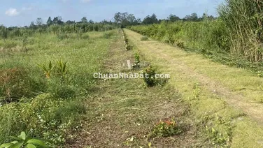 Bán đất CLN rạch Ngã Bát cách Vành Đai Phía Tây 1km, Thường Thạnh, Cái Răng Cần Thơ lộ ô tô tới đất