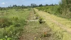 Bán đất CLN rạch Ngã Bát cách Vành Đai Phía Tây 1km, Thường Thạnh, Cái Răng Cần Thơ lộ ô tô tới đất