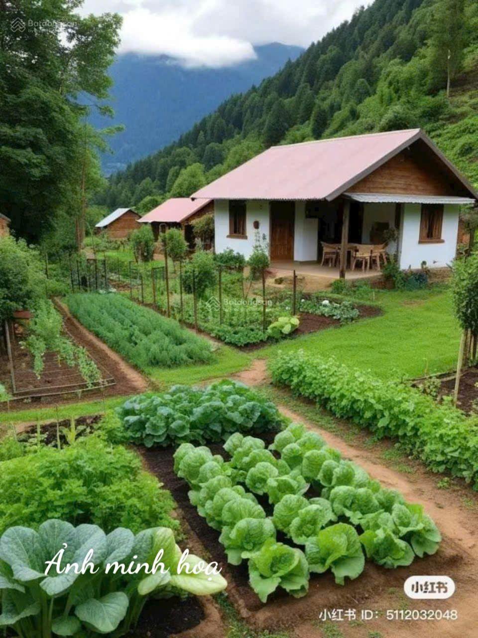 Bán đất CLN rạch Ngã Bát cách Vành Đai Phía Tây 1km, Thường Thạnh, Cái Răng Cần Thơ lộ ô tô tới đất