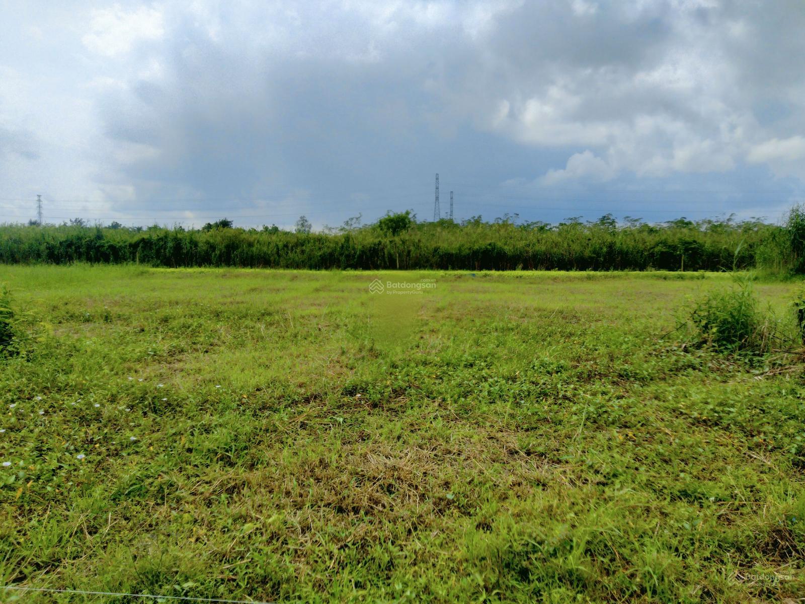 Bán đất CLN rạch Ngã Bát cách Vành Đai Phía Tây 1km, Thường Thạnh, Cái Răng Cần Thơ lộ ô tô tới đất