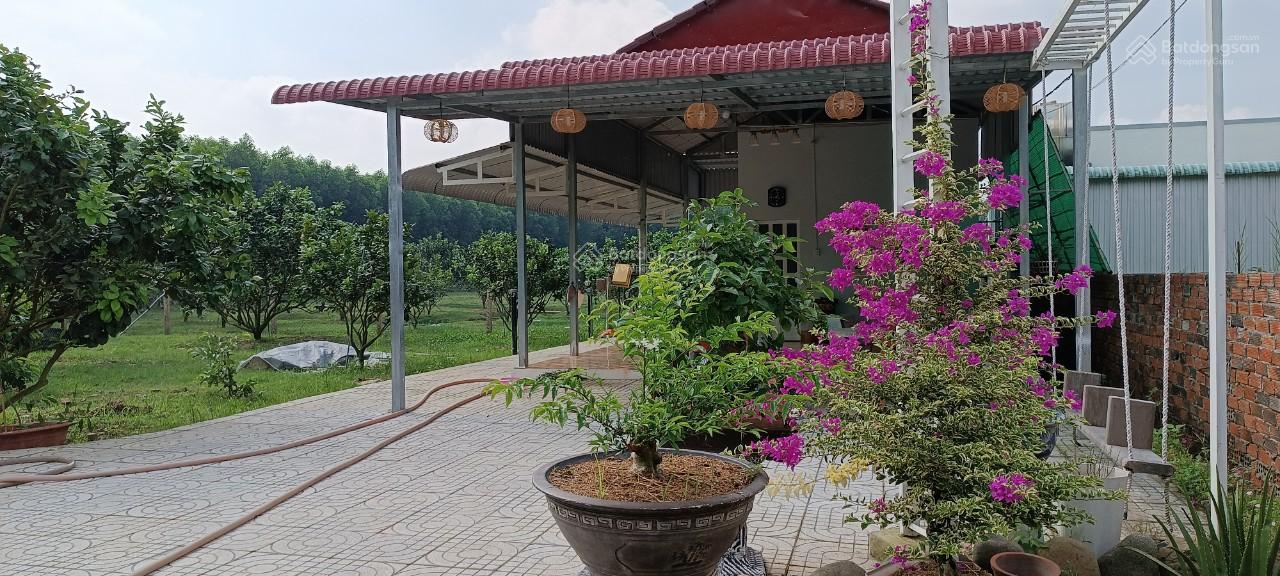 Bán ngộp sốc, chỉ 8,5 tỷ. 6600m2. Bán nhà vườn nghỉ dưỡng xã Bình Lợi, Vĩnh Cửu. SHR đường ô tô