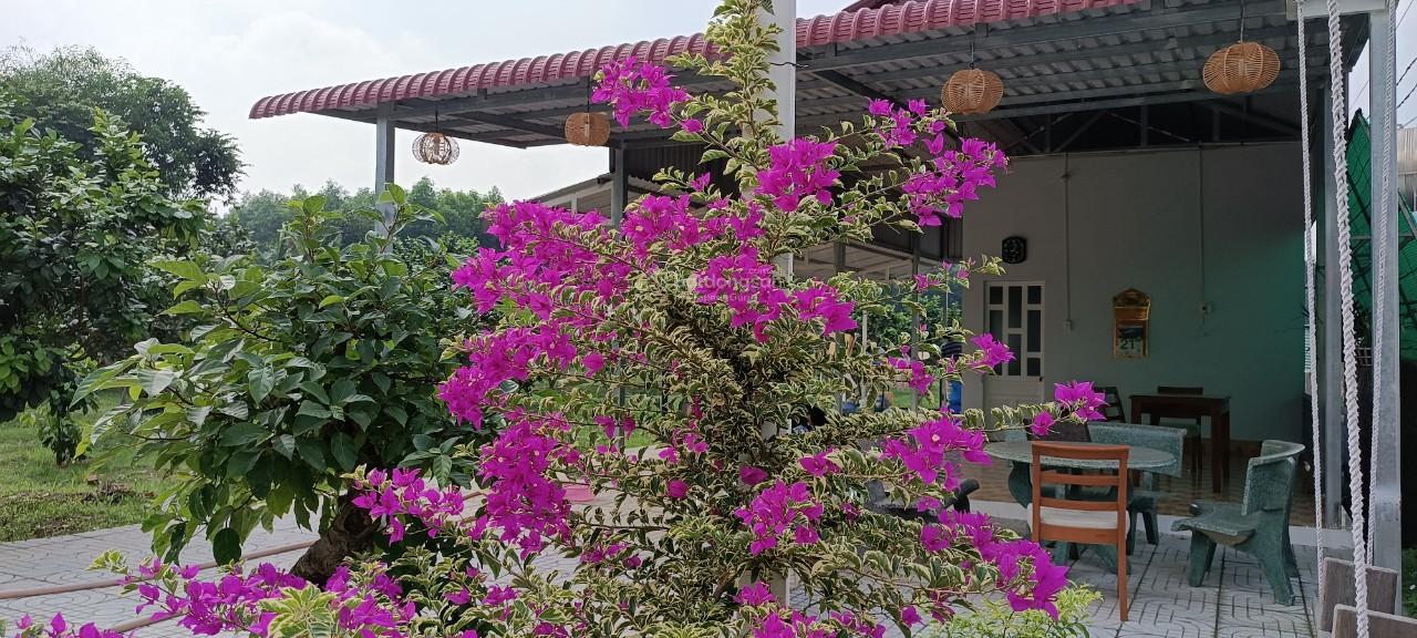 Bán ngộp sốc, chỉ 8,5 tỷ. 6600m2. Bán nhà vườn nghỉ dưỡng xã Bình Lợi, Vĩnh Cửu. SHR đường ô tô