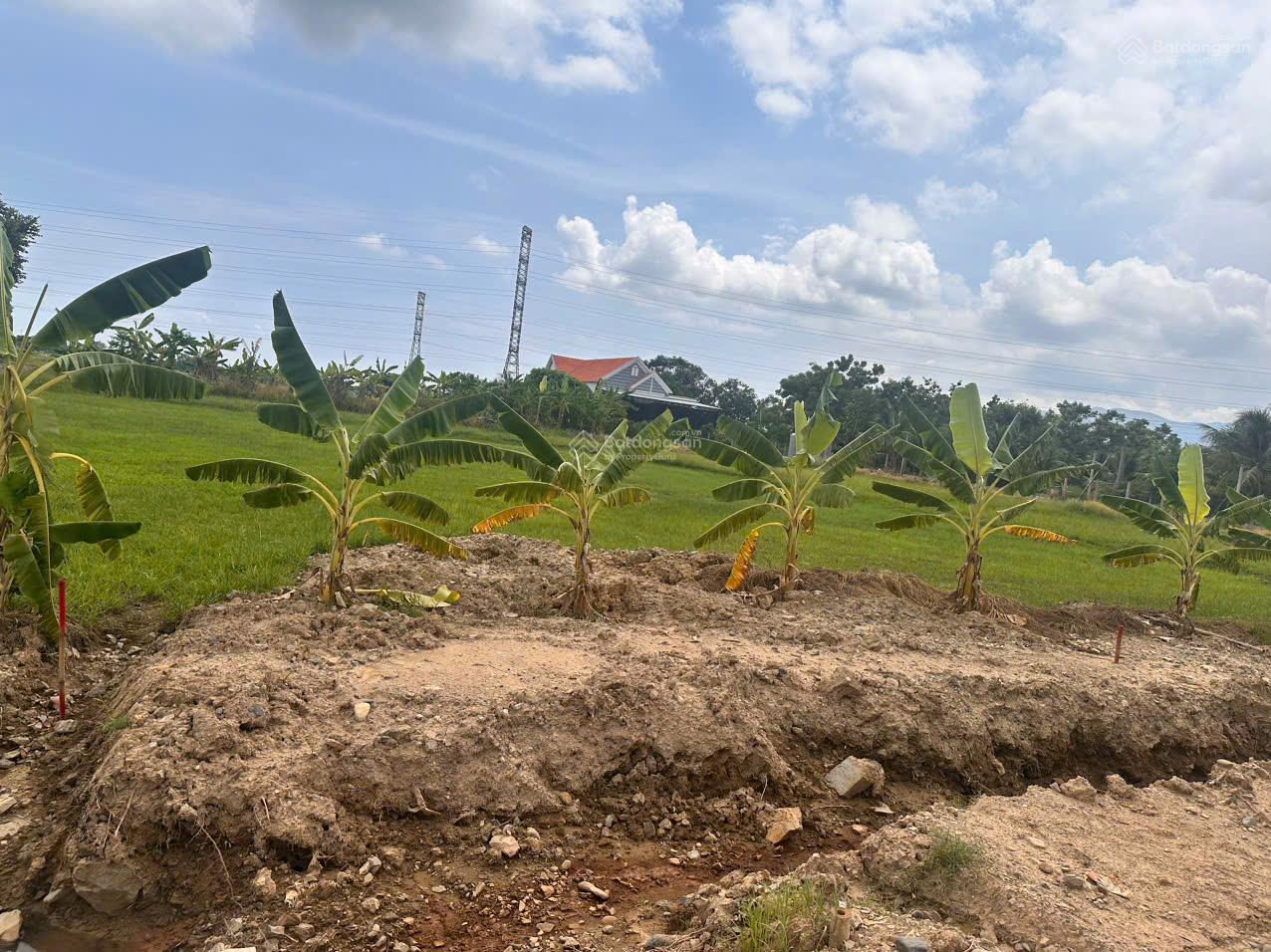 Bán lô đất thổ cư, 321 m2 xã Ninh An, TX Ninh Hoà, giá bán 5 triệu/m2