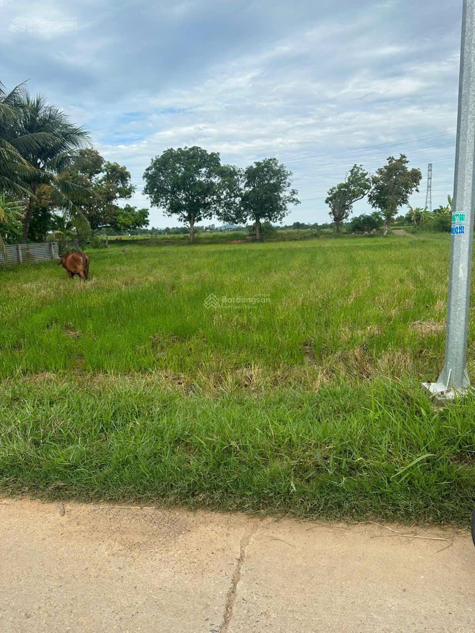 Bán lô đất thổ cư, 321 m2 xã Ninh An, TX Ninh Hoà, giá bán 5 triệu/m2