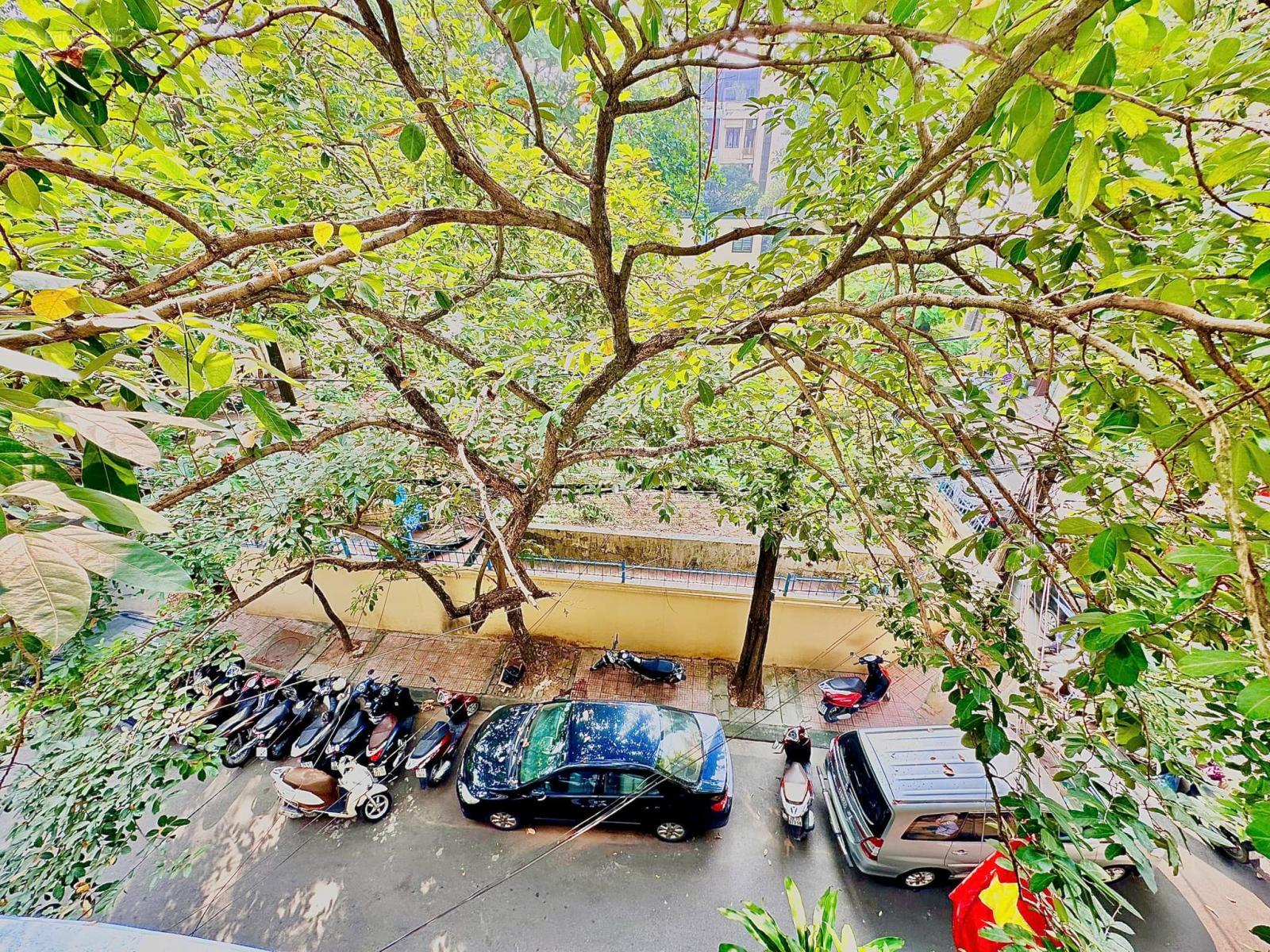 Cấn bán gấp nhà khu D Khuất Duy Tiến Nguyễn Quý Đức 52m2 2 thoáng 4,8m mặt tiền vỉa hè ô tô tránh Cấn bán gấp nhà khu D Khuất Duy Tiến Nguyễn Quý Đức 52m2 2 thoáng 4,8m mặt tiền vỉa hè ô tô tránh