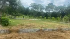 Chính chủ bán hơn 600m2 đất lô góc, sổ chính chủ Thôn Triu, Điền Lư, Bá Thước, Thanh Hoá 0967 522 ***