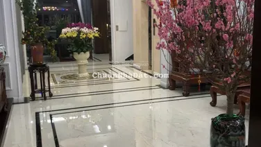 Bán BT song lập Nguyệt Quế 180m2, nhà đẹp, nội thất sang trọng. Giá 63 tỷ. LH 0944 332 ***