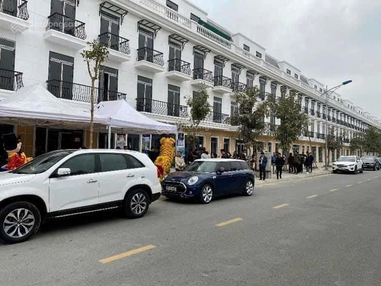 Bán lô đất nền biệt thự 180,240m2 giá 1X tại dự án Seoul Ecohome, Tràng Duệ, An Dương, Hải Phòng
