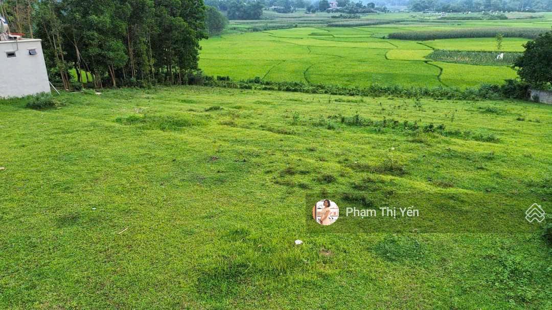 Chuyển nhượng lại mảnh đất view cánh đồng cực thoáng đẹp 2000m2/100m2 TC tại Lương Sơn - Hoà Bình