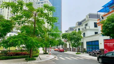 CĐT thu hồi vốn giảm 10 tỷ bán nhanh BT đơn lập Roman Plaza. Hướng Đông Nam. Giá đầu tư