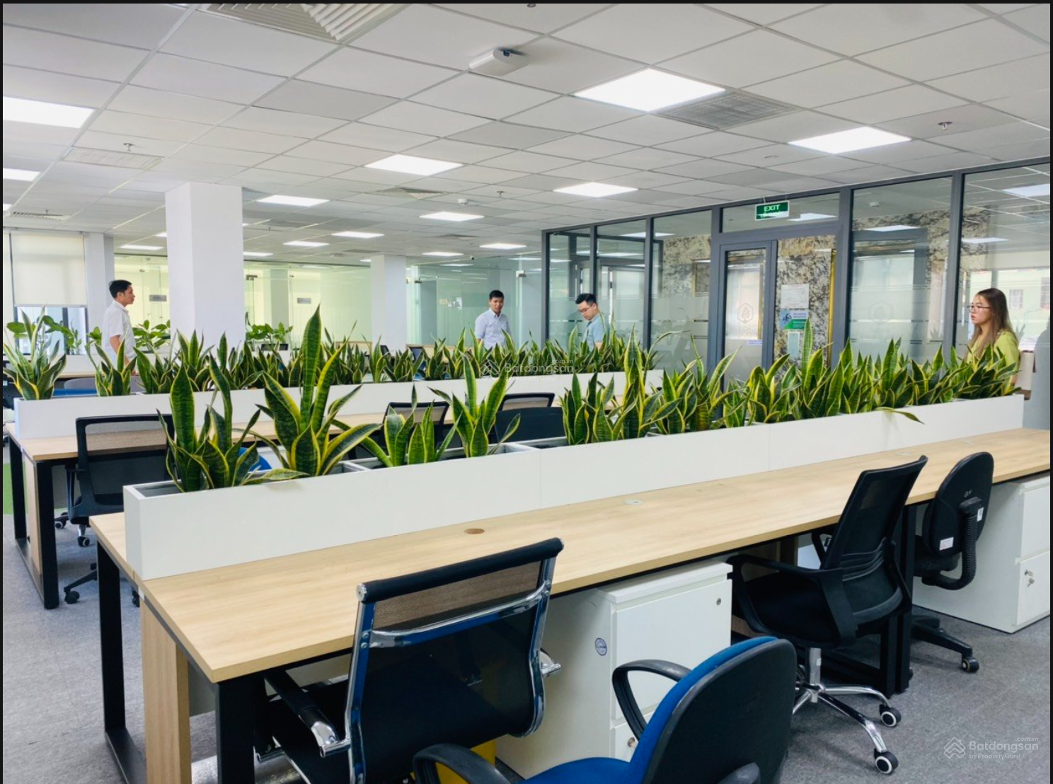 Văn phòng 100m2 - 150m2, MT Phan Đình Giót - Trường Sơn, P. 2, Quận Tân Bình