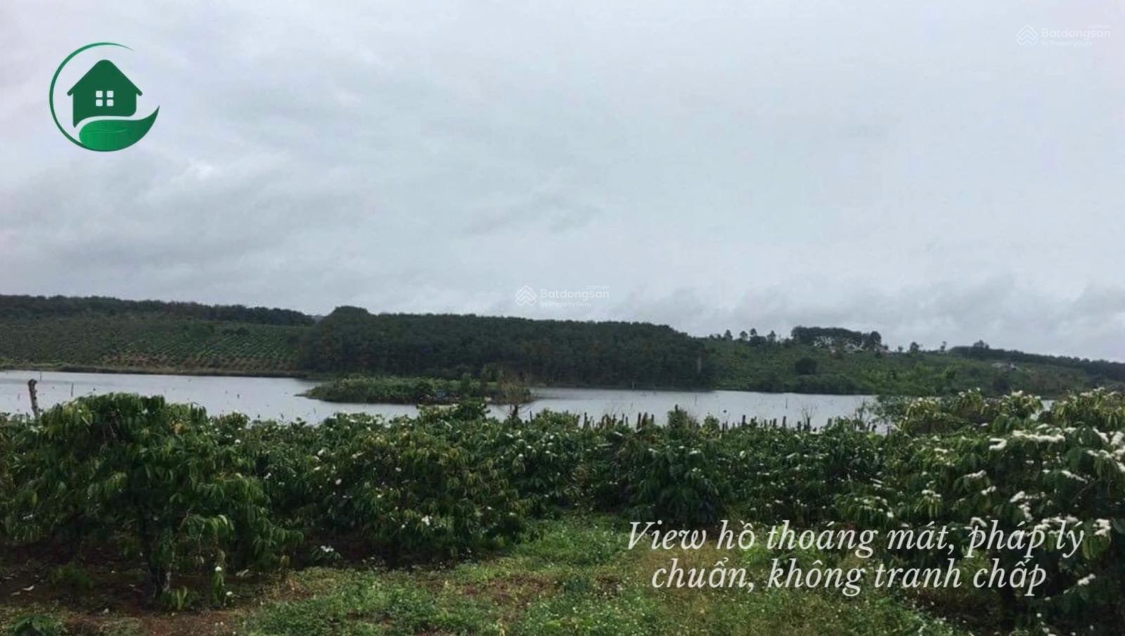 Chính chủ cần bán lô đất 9000m2, 400m2 thổ cư, bám mặt hồ thôn 5 xã Daksin Chính chủ cần bán lô đất 9000m2, 400m2 thổ cư, bám mặt hồ thôn 5 xã Daksin