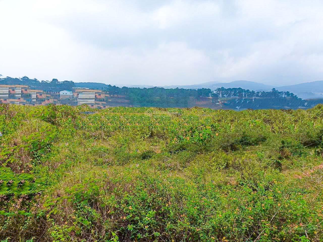 Giá cực tốt - 1 lô Măng Lin duy nhất hẻm nhựa ô tô tránh nhau, 200m2, giá chỉ 3.95 tỷ