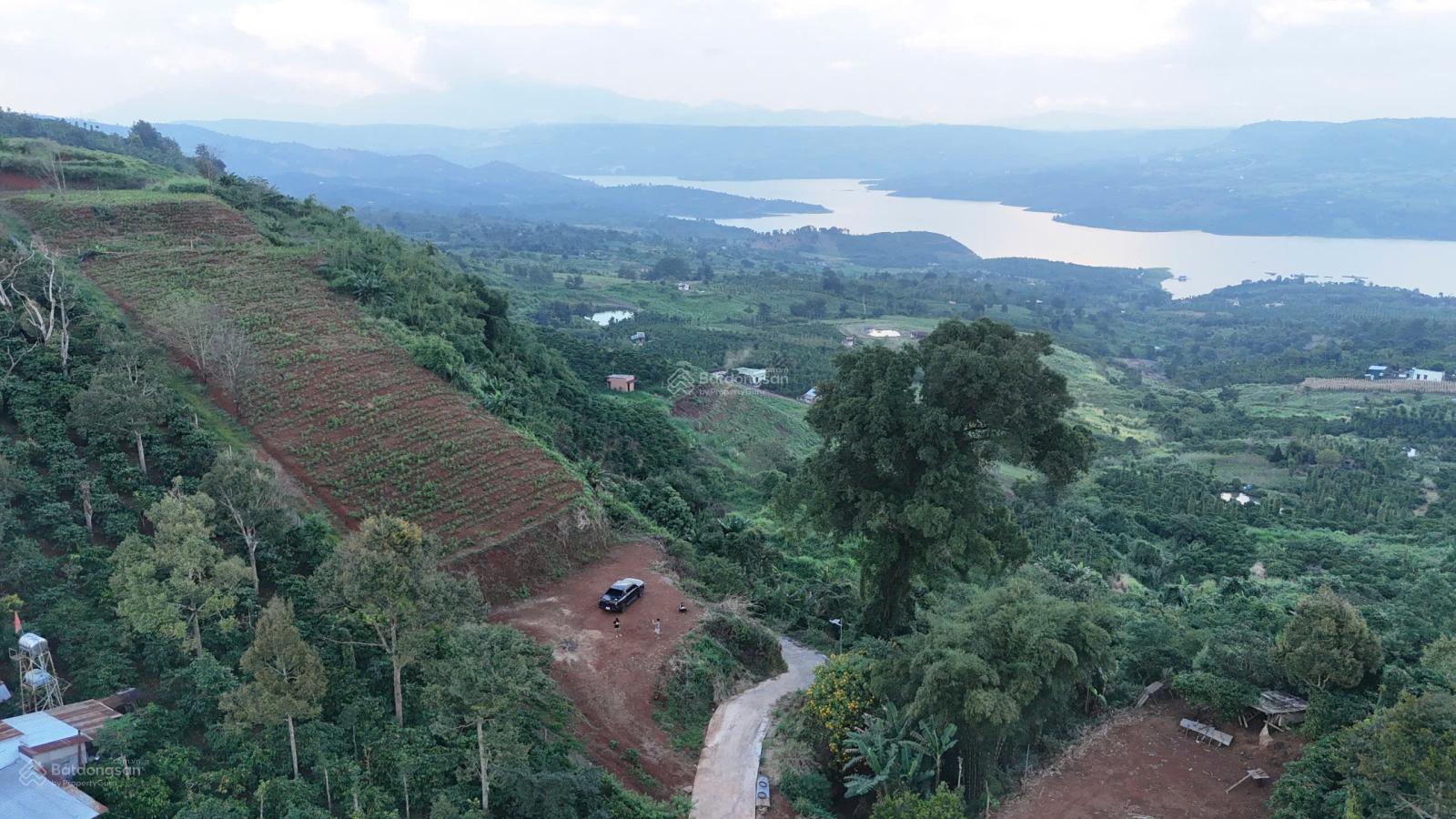 Đất view sông Đồng Nai 580 triệu/sào