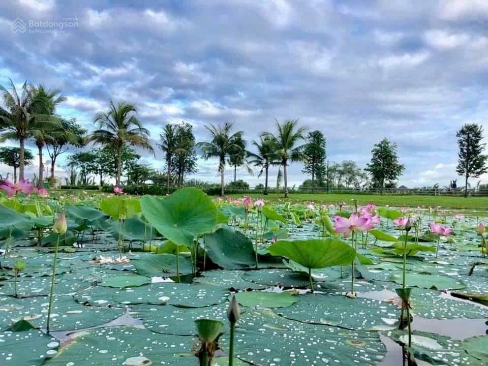 Chính chủ gửi bán nhà phố Park Riverside, 75m2, sổ hồng, nội thất đẹp-cứng cáp, giá 11 tỷ (TL)