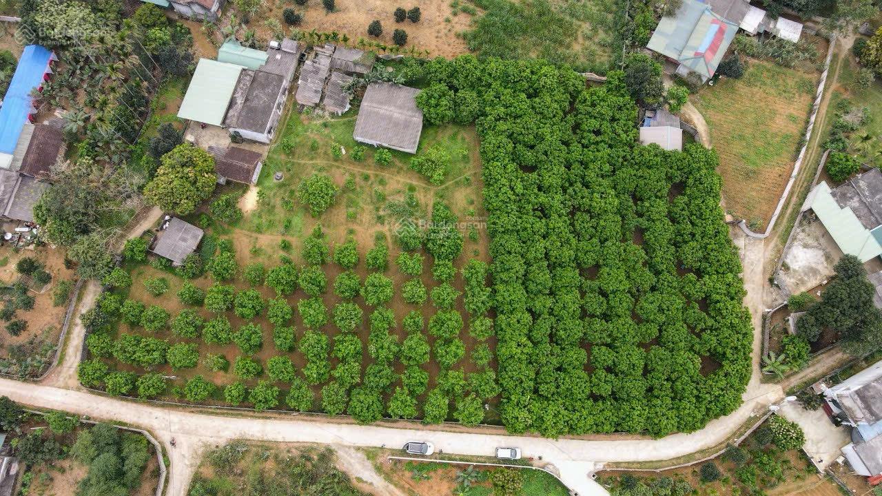 Bán 3000m2, có 1000m2 thổ cư, hai mặt tiền tại Lương Sơn, Hoà Bình