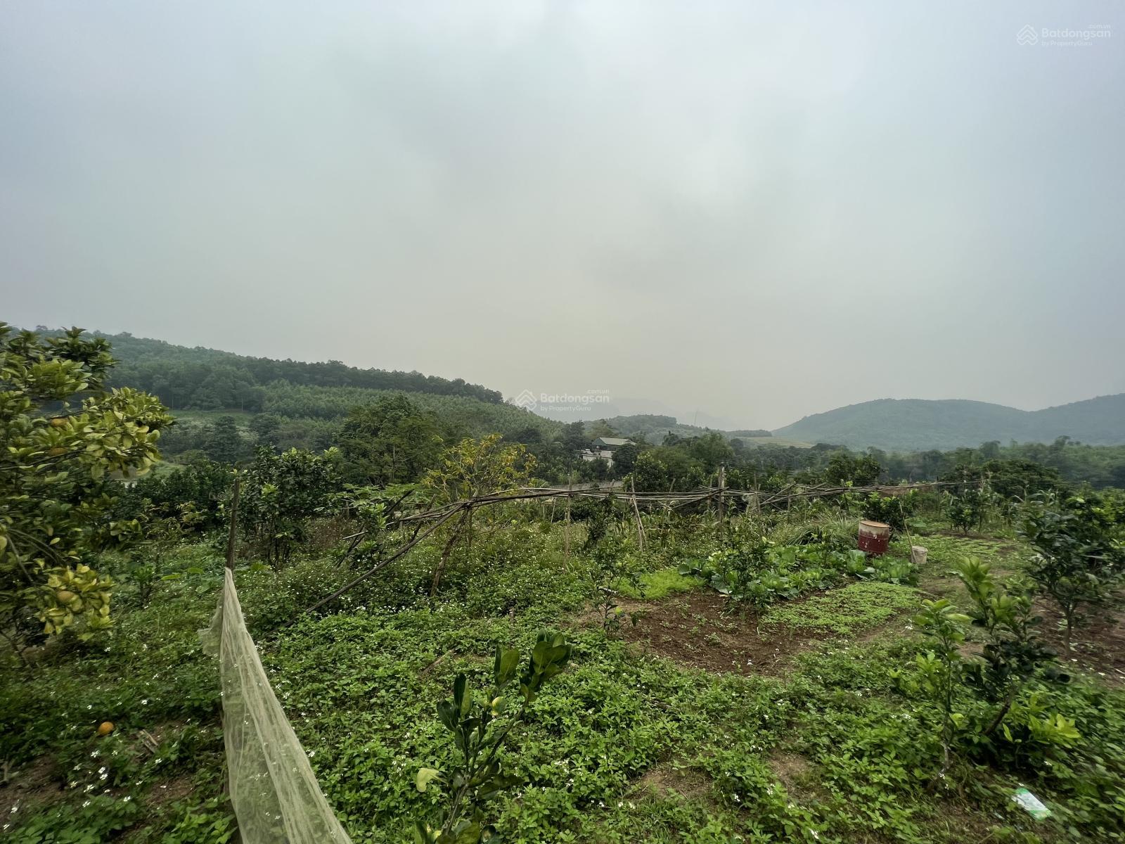 Chính chủ bán 6548m2 đất trang trại khu nghỉ dưỡng, tại xã Phú Nghĩa, Lạc Thuỷ, Hoà Bình