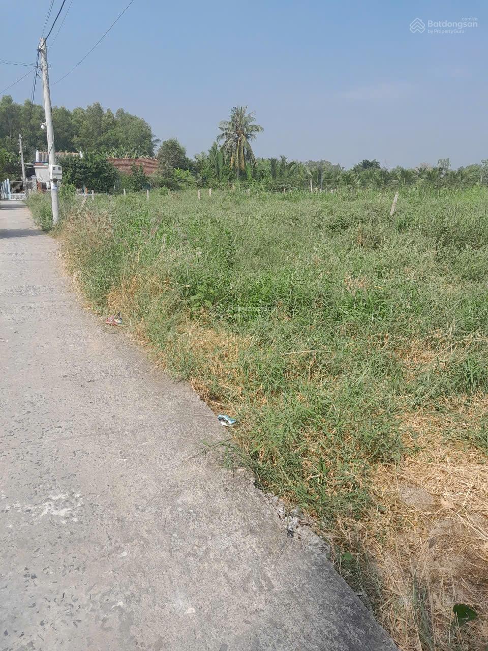 Bán đất thổ cư thành phố Gò Công, Tiền Giang. 5x30m full thổ, sổ rồi, đường đan 2m, giá 230tr