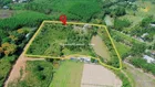 Bán nhà vườn Hòa Ninh 15.000m2. Có sẵn ao hồ, nhà C4, vườn cây ăn quả