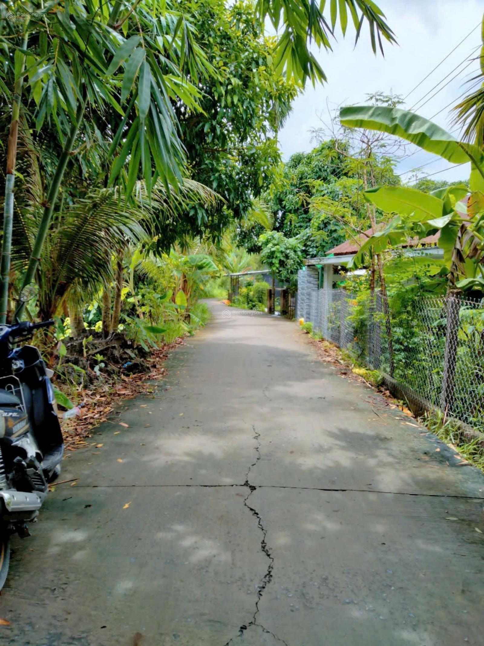 Bán đất Cái Tắc lộ ô tô cách Cầu Đất Sét, QL1A chỉ 1,3km cách chợ Cái Tắc 2,5km