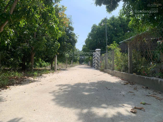 Bán đất tại Cam Thành Bắc, Cam Lâm, Khánh Hòa, 9.2triệu / m2, 485m2 bao đẹp giá tốt. LH 0798 347 ***