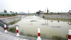 Chủ nhà nhờ bán đất nền dự án Tân Thanh Elite City, Thanh Liêm, Hà Nam 100m2, 23tr/m2