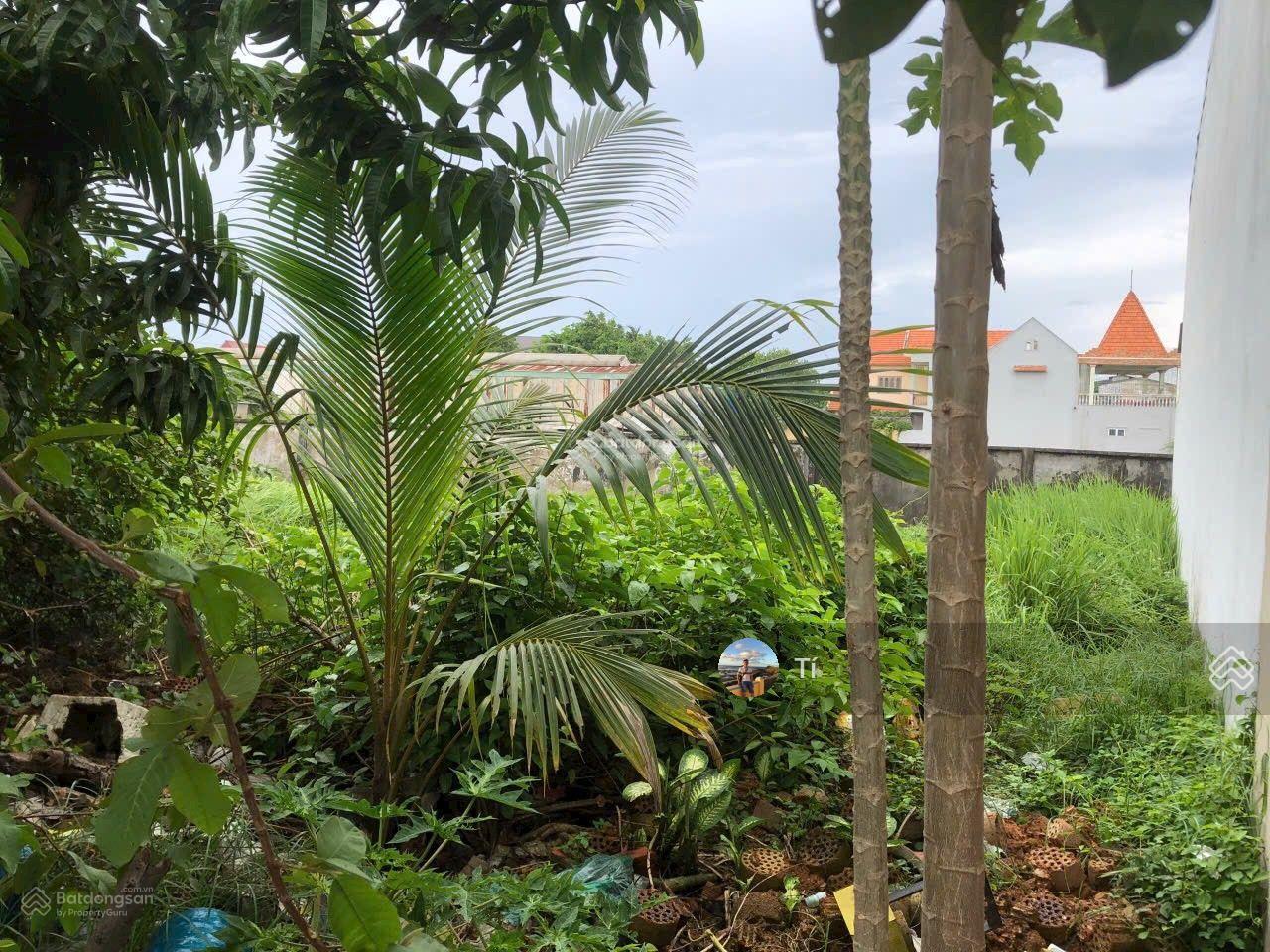 Bán lô đất 9x21m full thổ cư 191m2 1/ Tô Ký Tân Xuân Hóc Môn hẻm 8m giá 8.5 tỷ cách Q12 800m