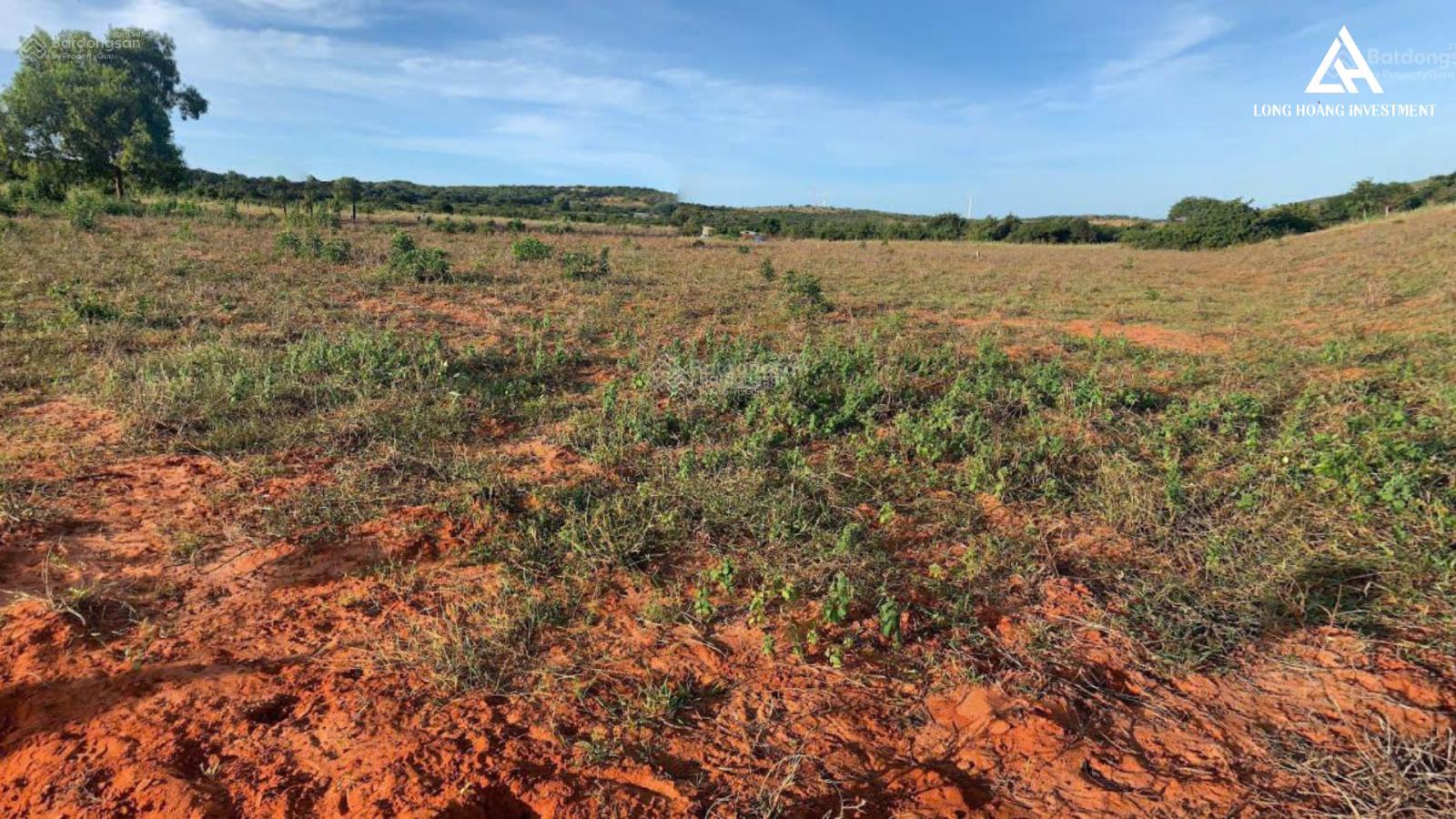 Kẹt tiền bán gấp lô đất biển Phan Hiệp, đường ô tô vào tận đất, cách liên xã 200m