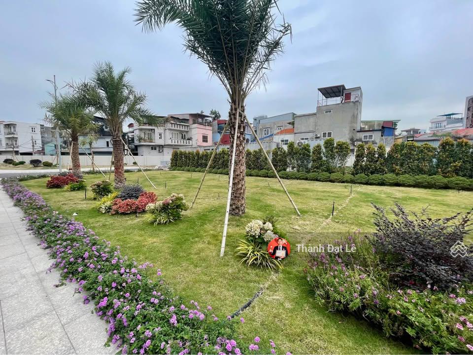 Chính chủ bán nhà phố liền kề 5 tầng 75m2 phố Hạ Lý, quận Hồng Bàng, trung tâm Tp Hải Phòng