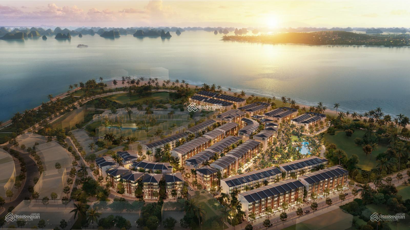 EM NGỌC ANH CÓ QUỸ 5 CĂN NGOẠI GIAO HORIZON GIÁ CAM KẾT TỐT NHẤT THỊ TRƯỜNG