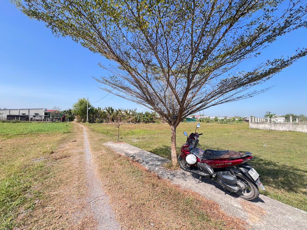Đất ngộp 1 sẹc Đức Hoà Thượng 5x30m giá 980tr