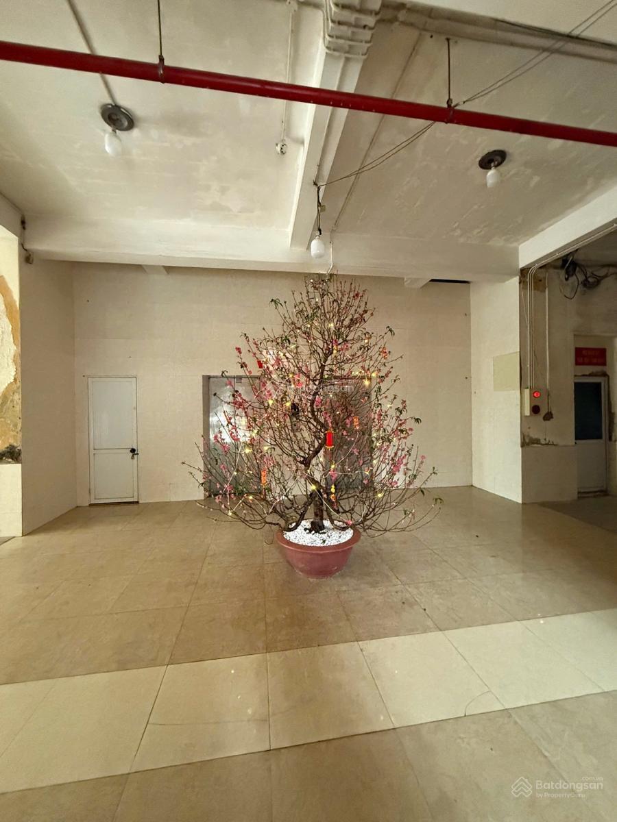 Bán chung cư hoàng đạo thuý 120m2, tầng 8, 3 ngủ, 2 wc, giá 9,5 tỷ Bán chung cư hoàng đạo thuý 120m2, tầng 8, 3 ngủ, 2 wc, giá 9,5 tỷ