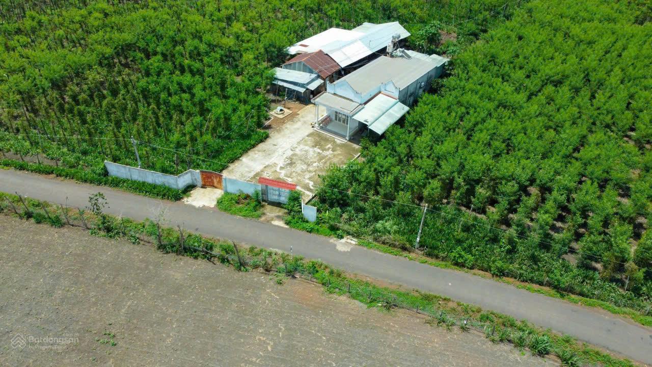 Sỉ 5 lô đường nhựa gần ủy ban Tân Tiến, cách trung tâm huyện 10p