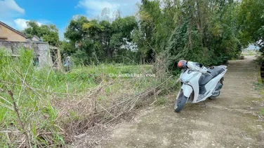 Chính chủ bán gấp đất nền gần chợ Đại Cường, Đại Lộc, Đà Nẵng. Sát quốc lộ