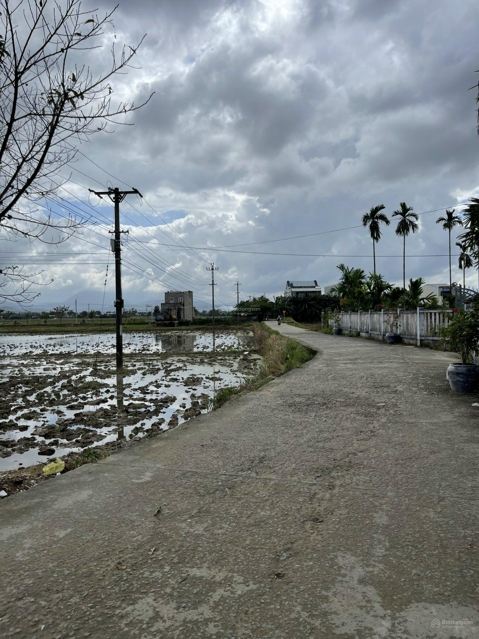 Chính chủ bán gấp đất nền gần chợ Đại Cường, Đại Lộc, Đà Nẵng. Sát quốc lộ