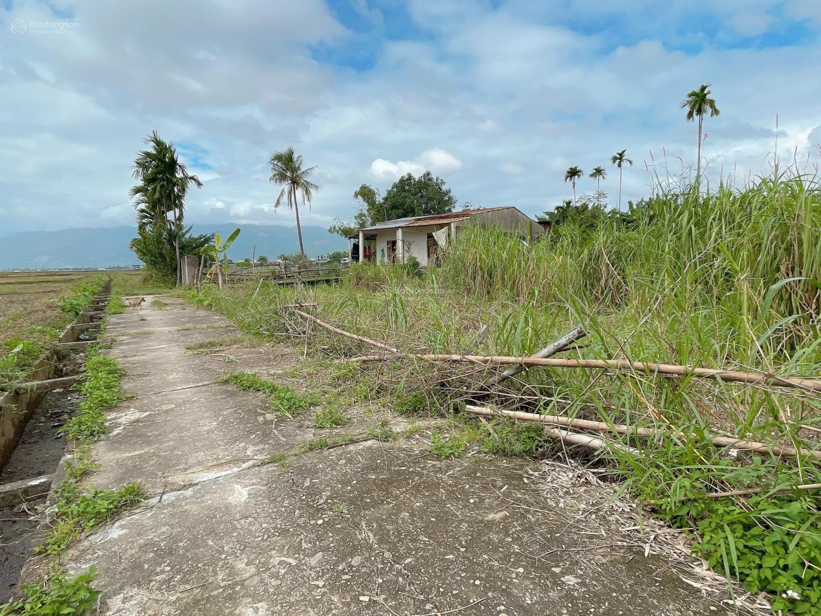 Chính chủ bán gấp đất nền gần chợ Đại Cường, Đại Lộc, Đà Nẵng. Sát quốc lộ