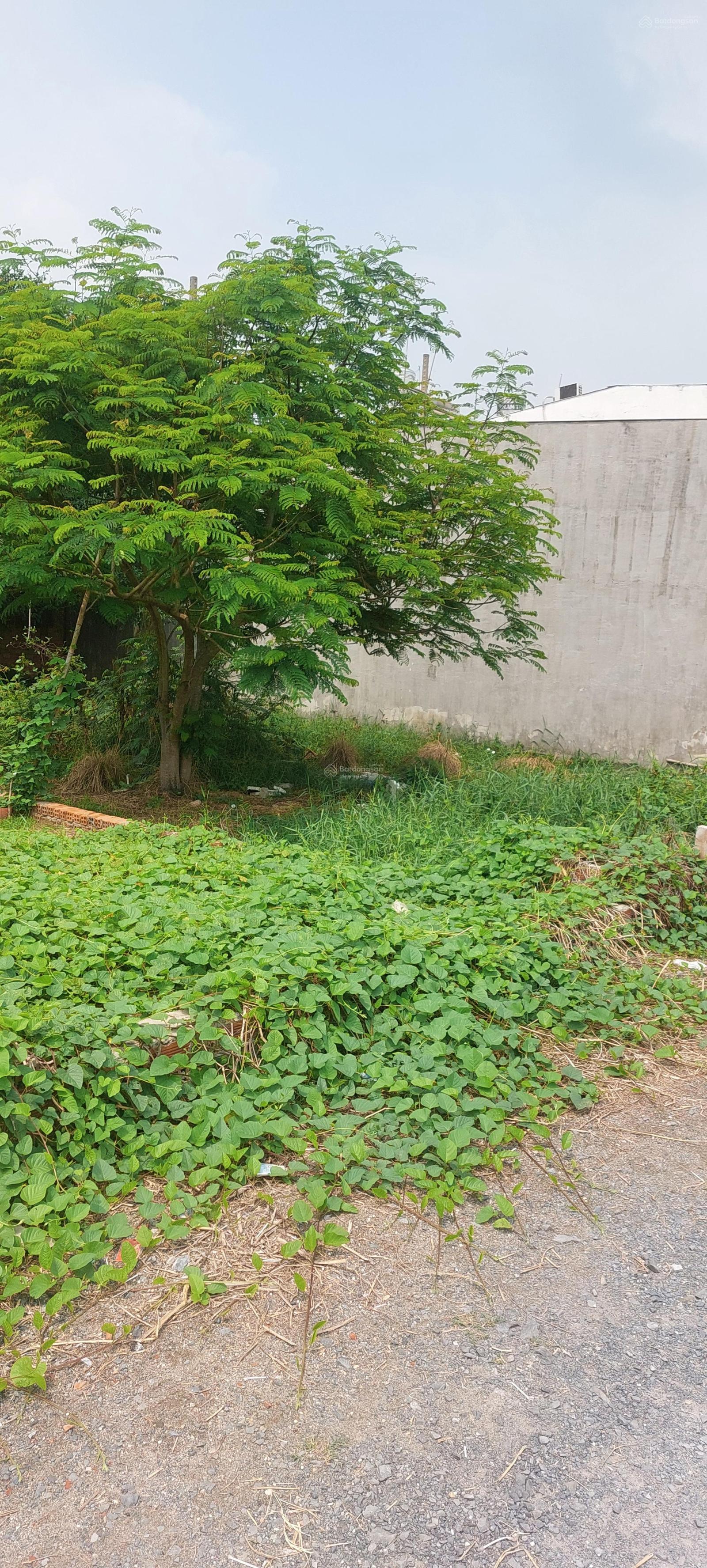 Chính chủ cần bán gấp lô đất 10x20m ODT Vĩnh Lộc gần Lại Hùng Cường, Quách Điêu