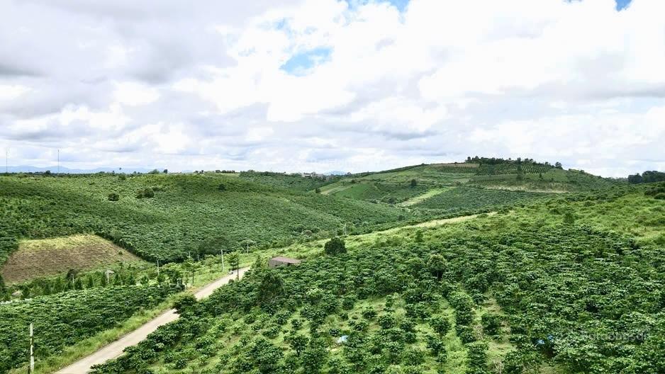 Lốc 22 lô thổ cư, đường nhựa 10m Lộc Quảng, giá F0 rẻ nhất khu vực, view thoáng đẹp