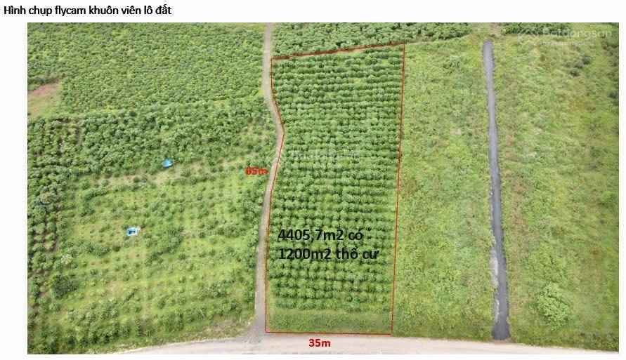 Lốc 22 lô thổ cư, đường nhựa 10m Lộc Quảng, giá F0 rẻ nhất khu vực, view thoáng đẹp